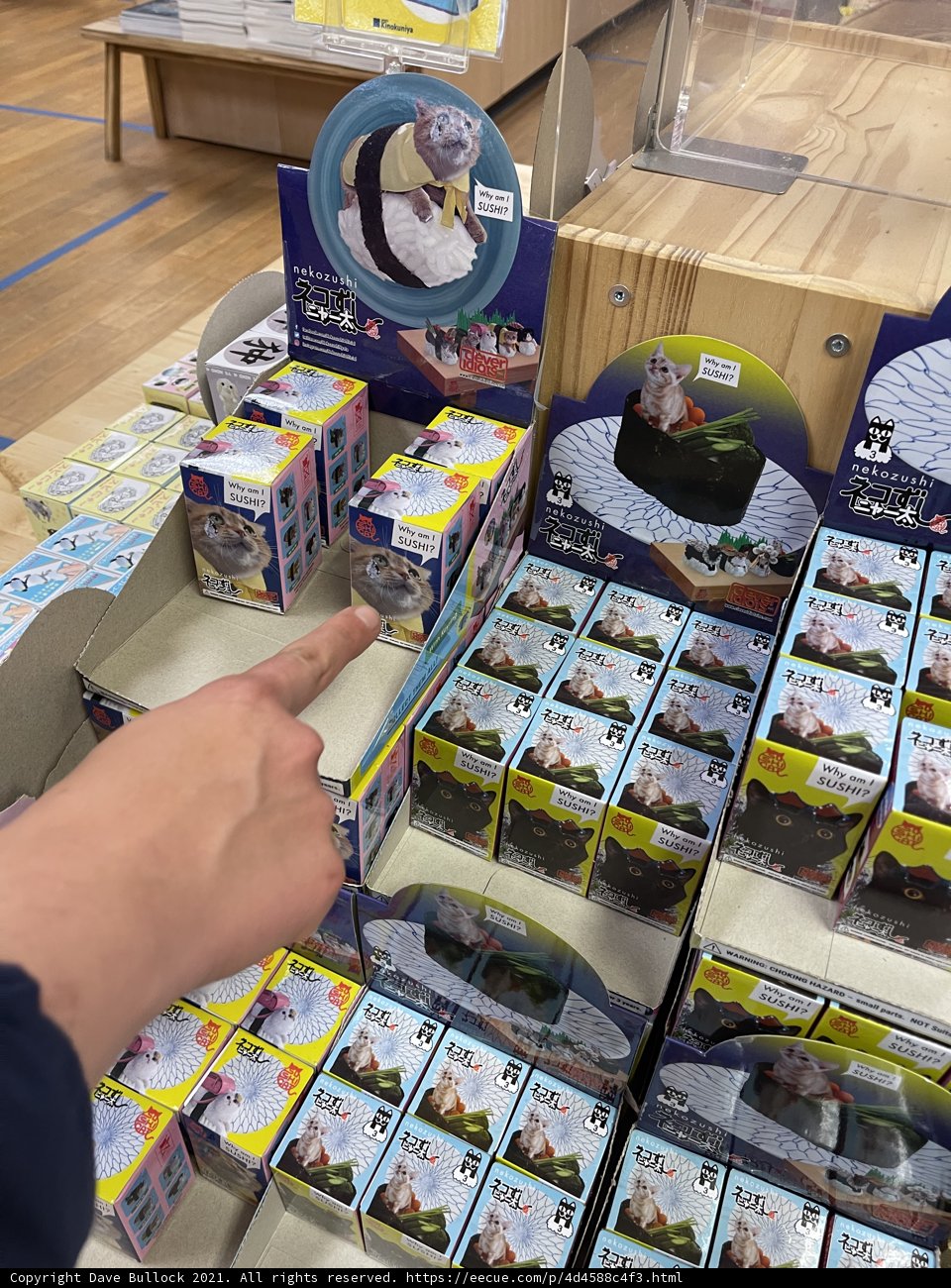 Toy Shopping Excitement