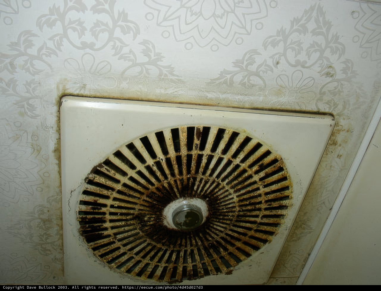 Neglected Fan