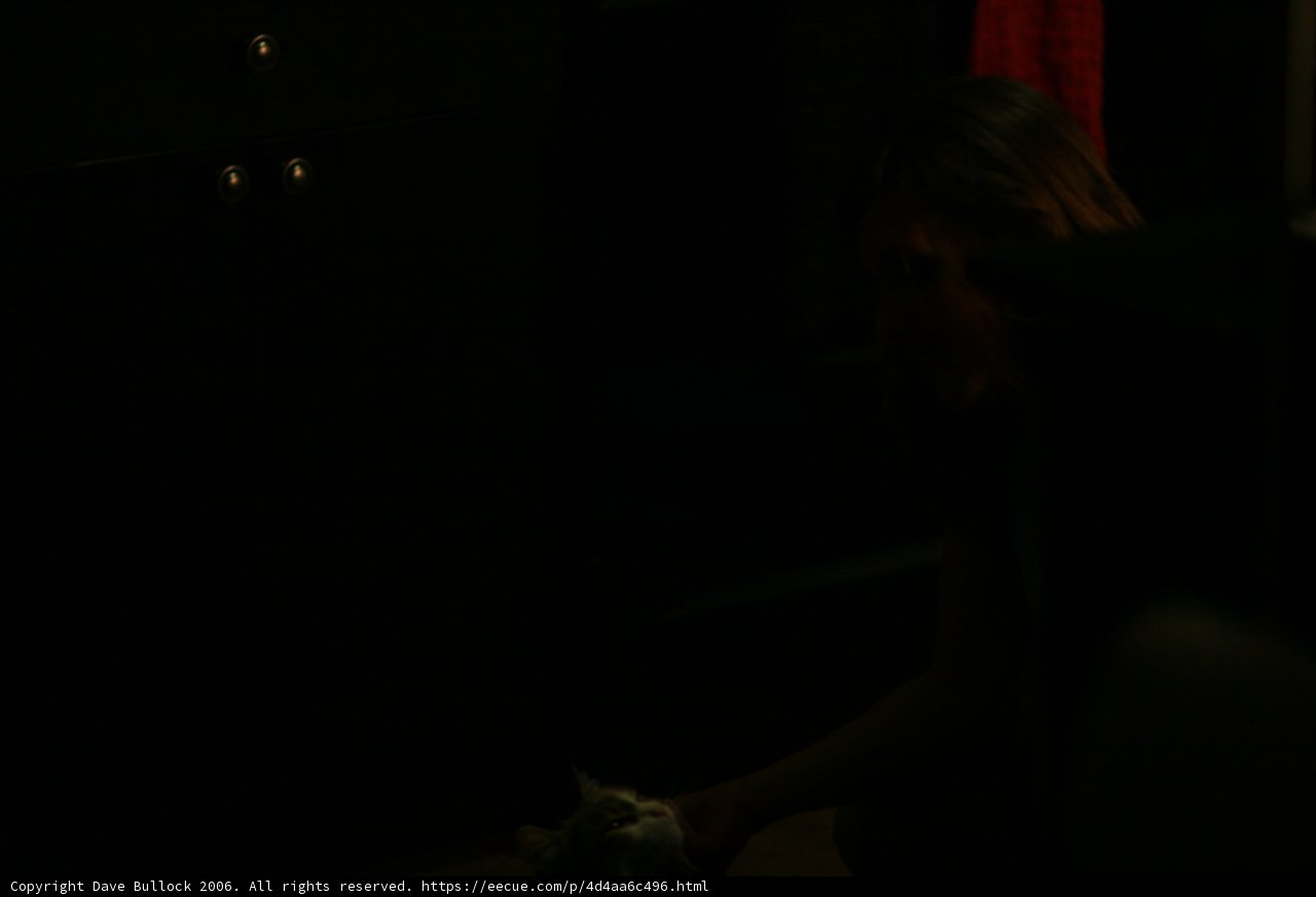 Alone in the Dark