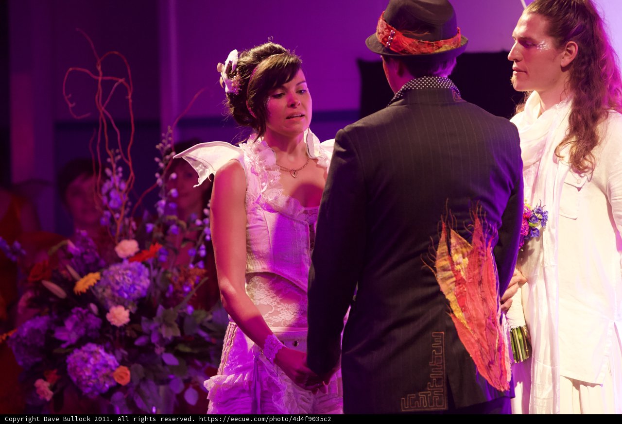 The Beautiful Bride and Her Groom