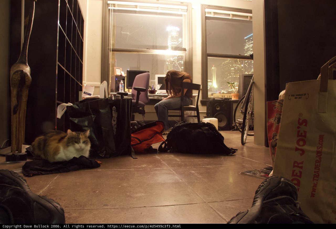 Woman and her Feline Companion