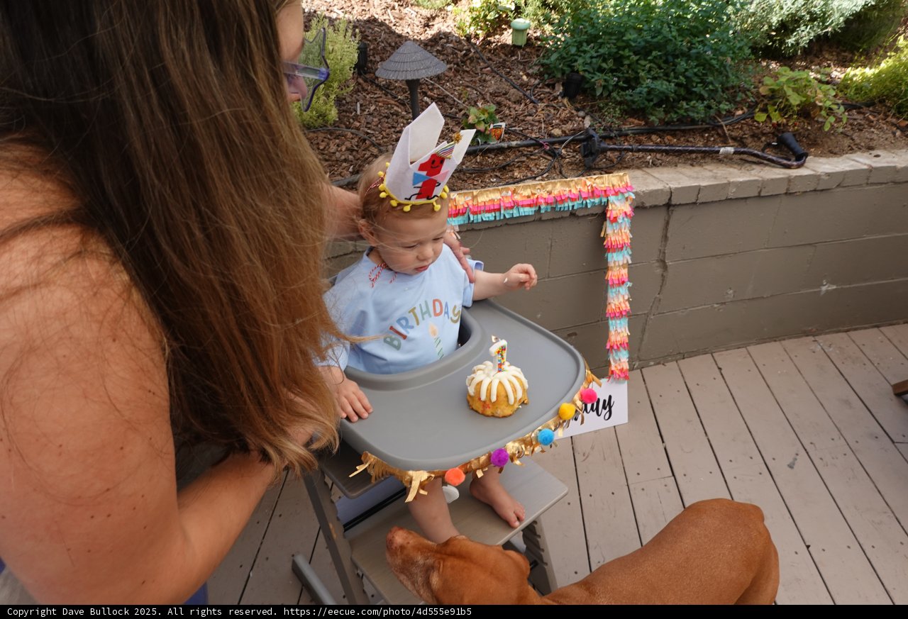 First Birthday Bliss