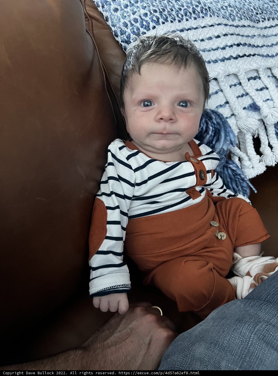 Baby's First Steps