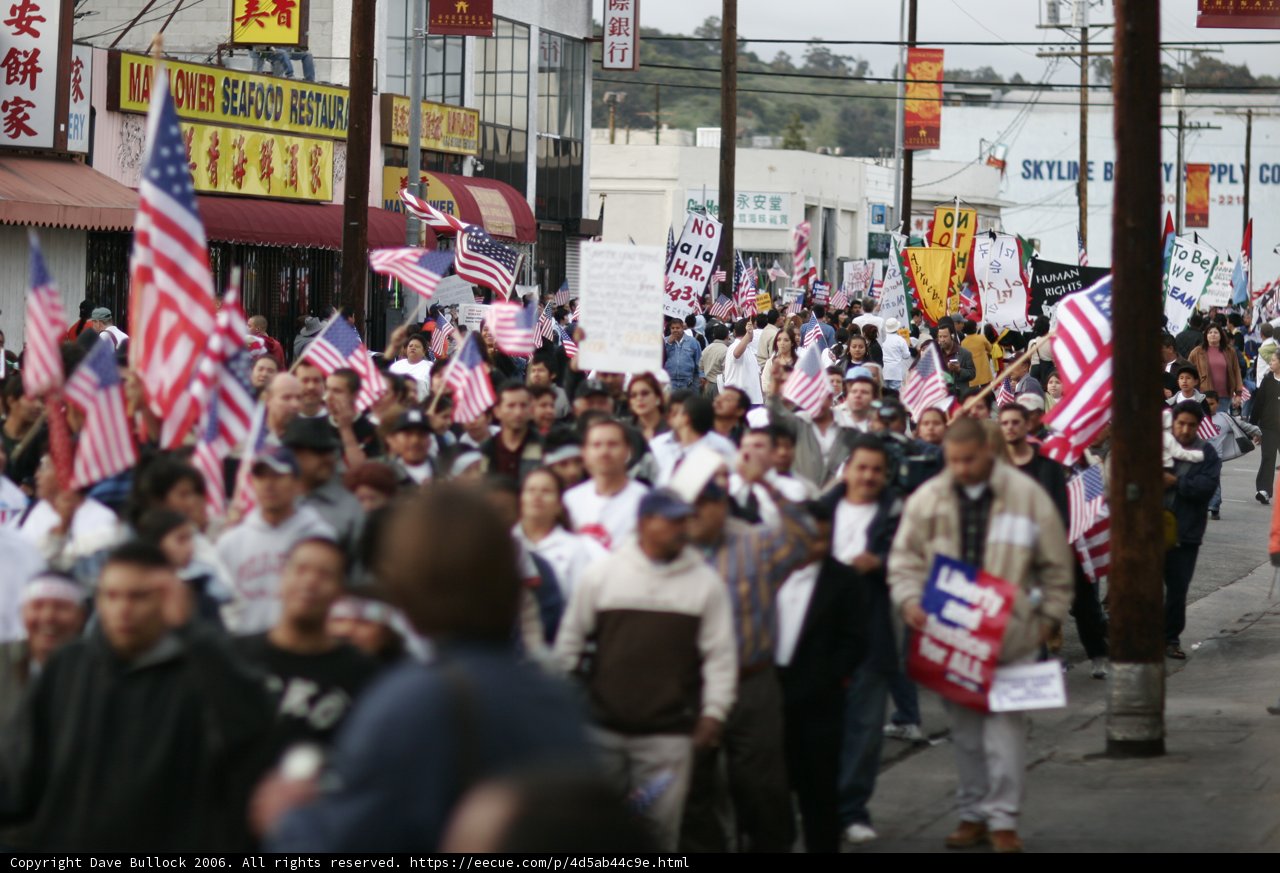 Unity in American Pride