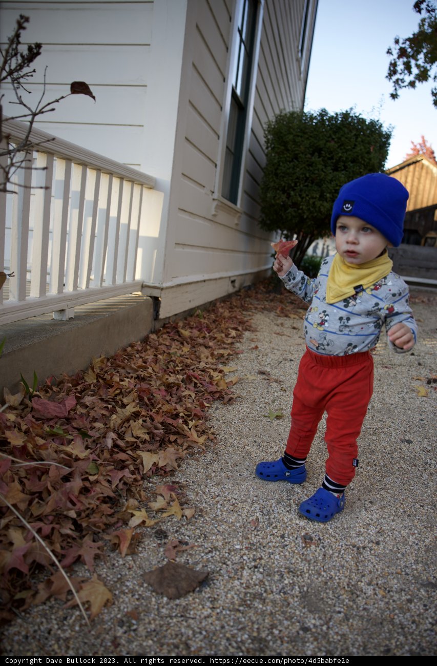 Little Frisbee Master in Downtown Sonoma