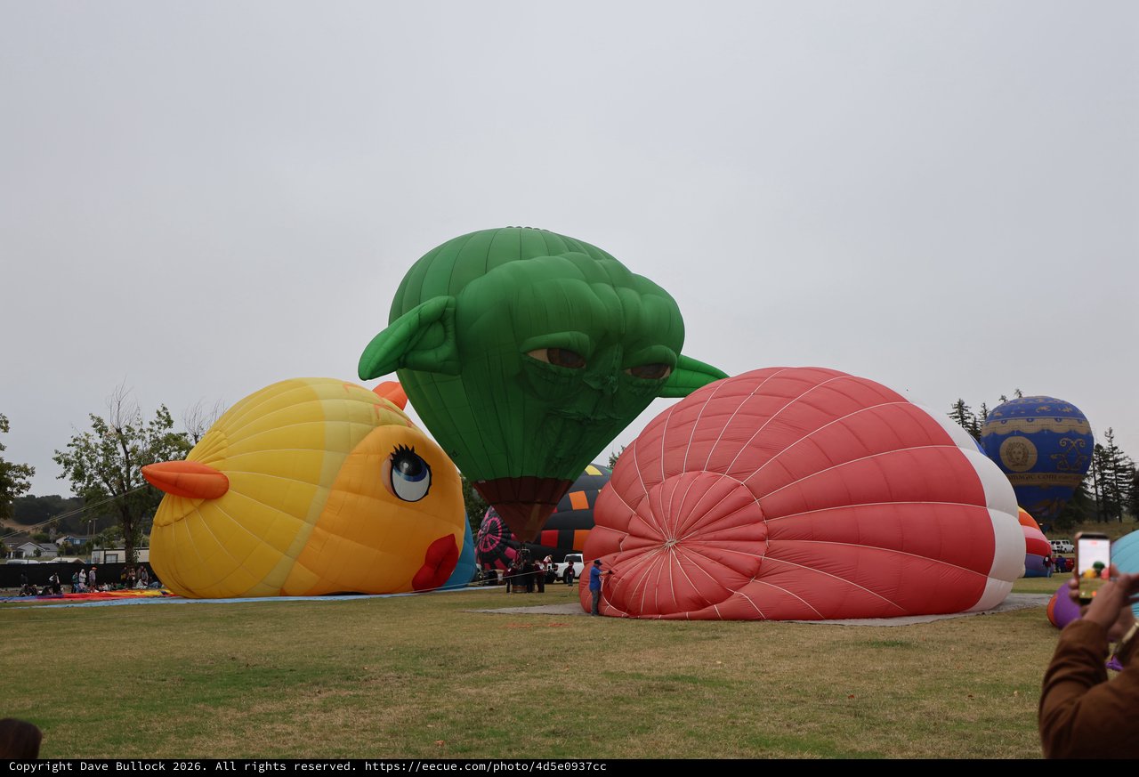 Giant Character Balloons Inflate at Sonoma Balloon Classic
