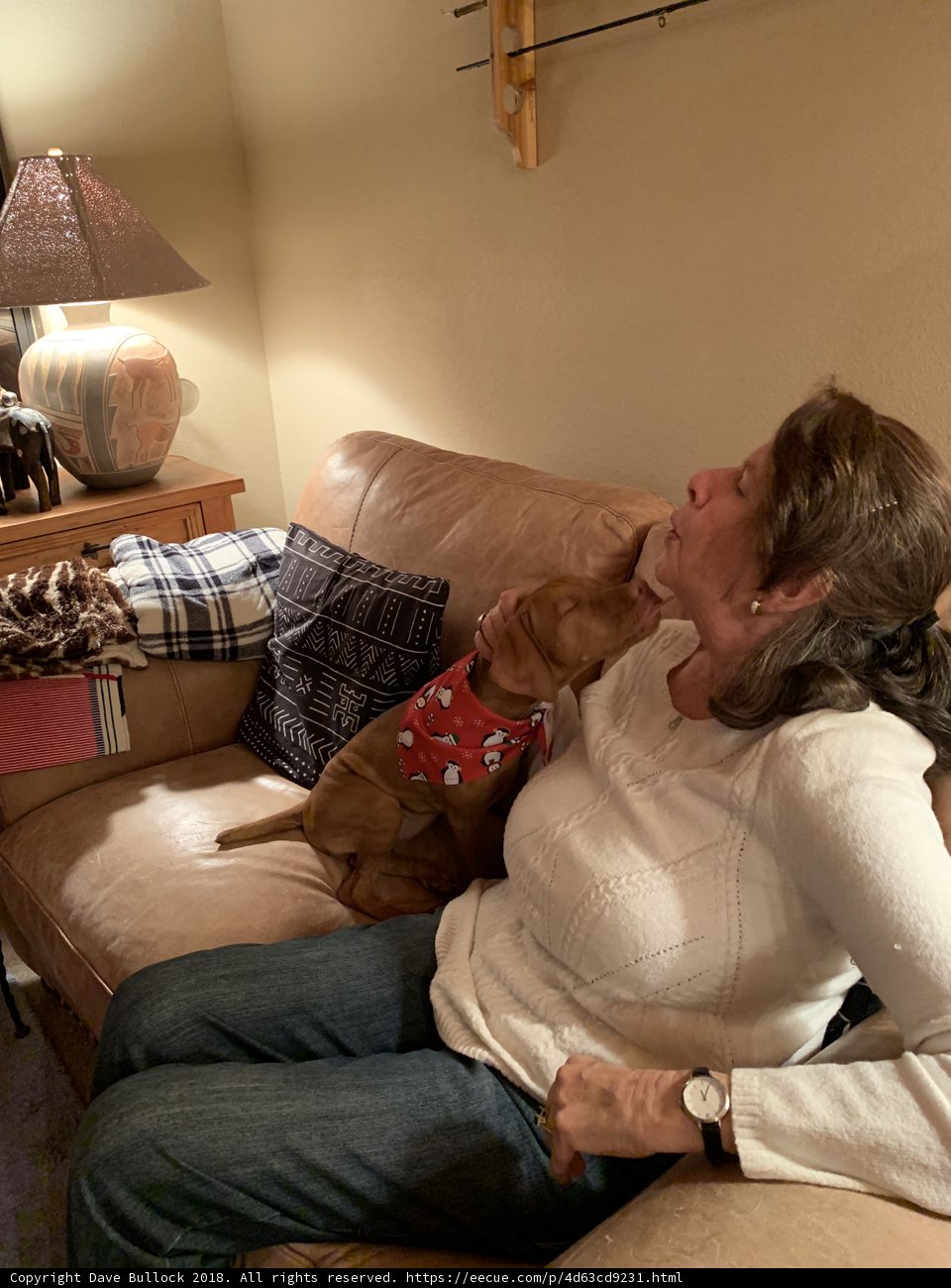 Comfortable Moments on the Couch