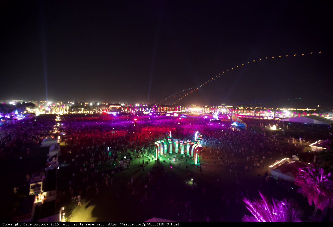 Festival Fever