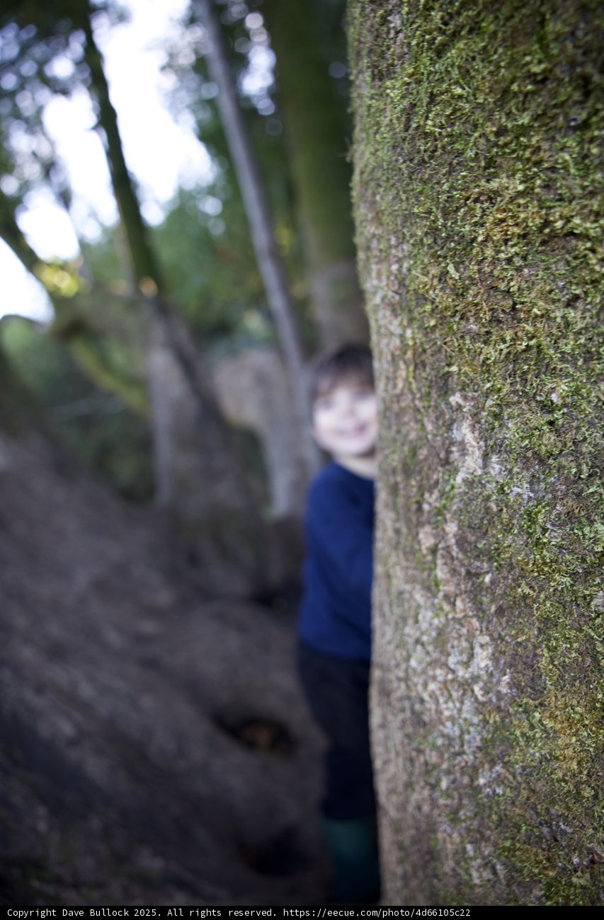 Hide and Seek in Thistlewyck