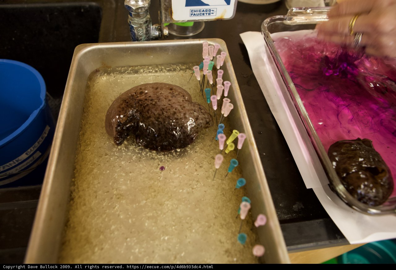Rocking the Dessert Pan