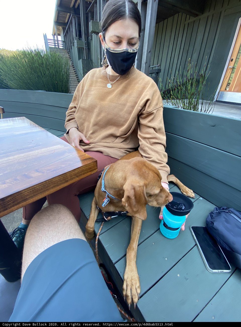 Masked Woman and Her Canine Companion