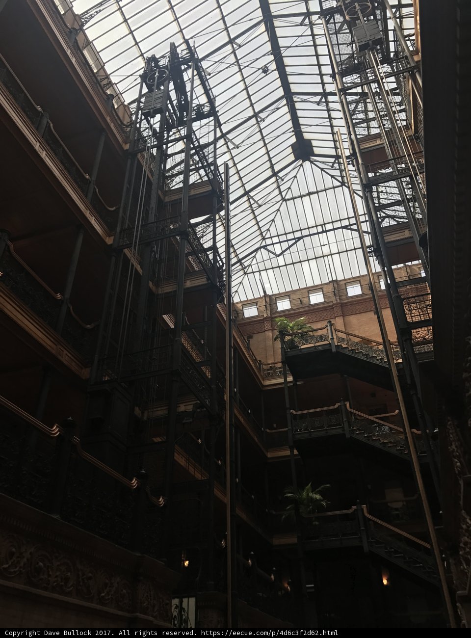 Atrium Oasis