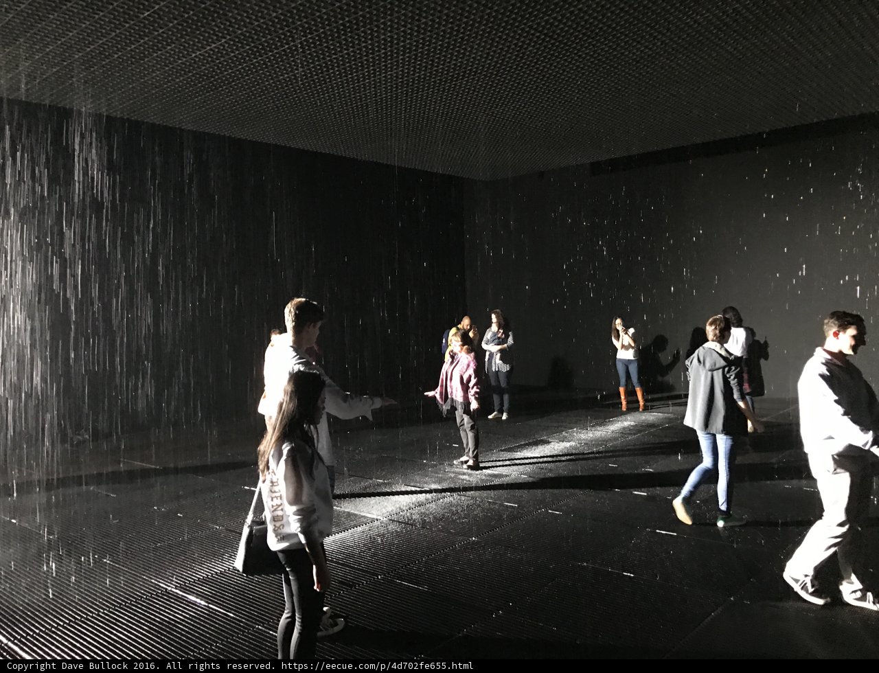 Rain Room