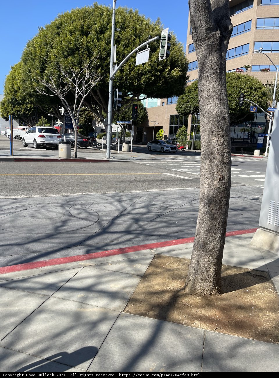 Shadow Tree in an Urban Intersection