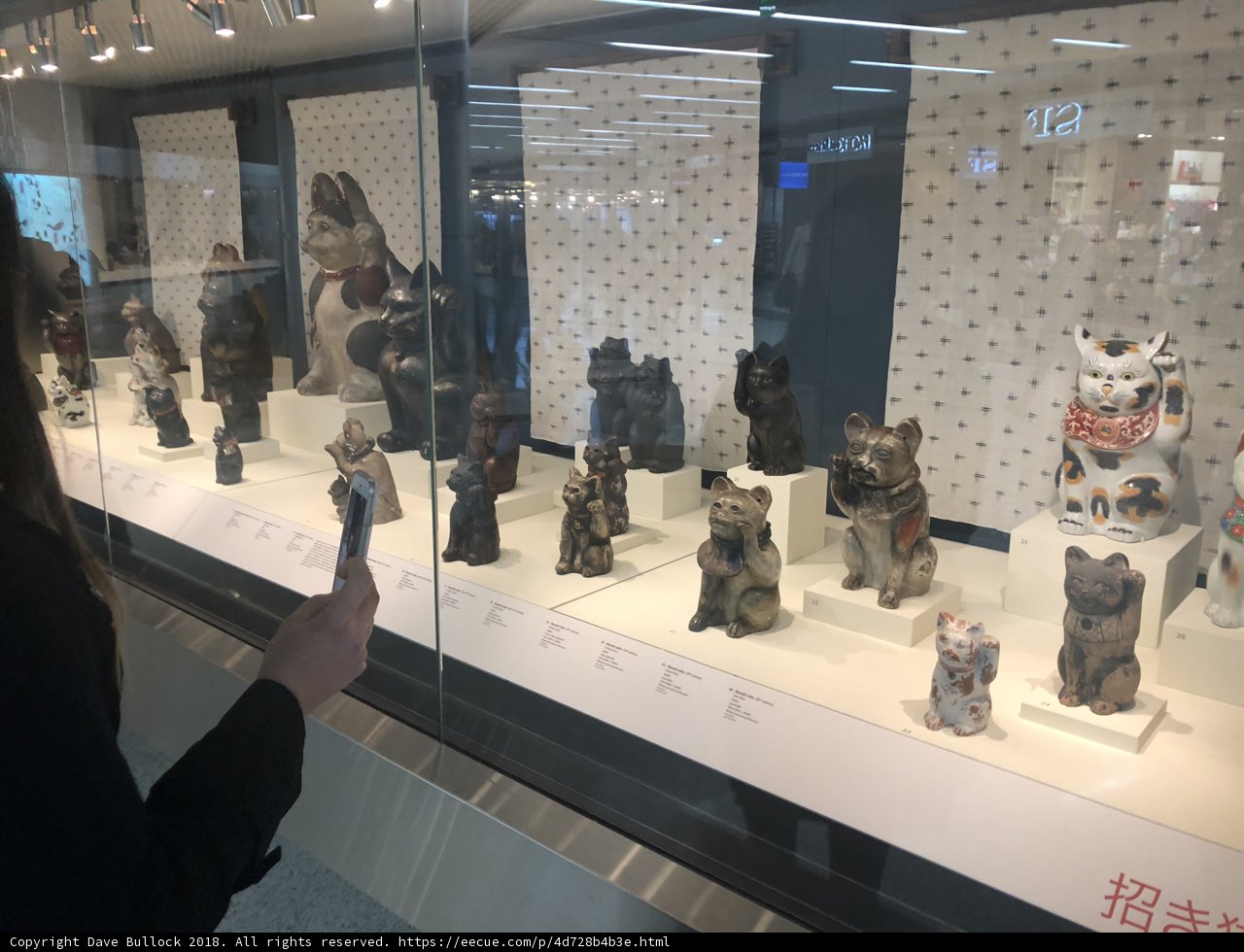 Admiring the Canine Display