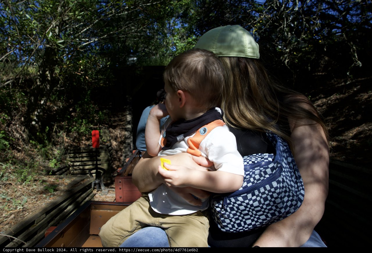 Family Adventures in Tilden Park