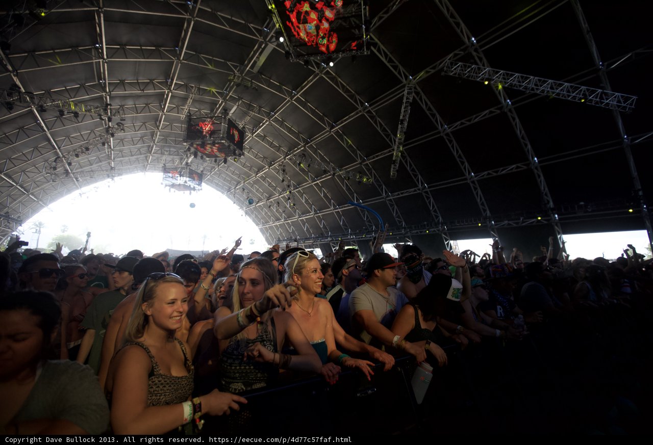Coachella Crowd Goes Wild