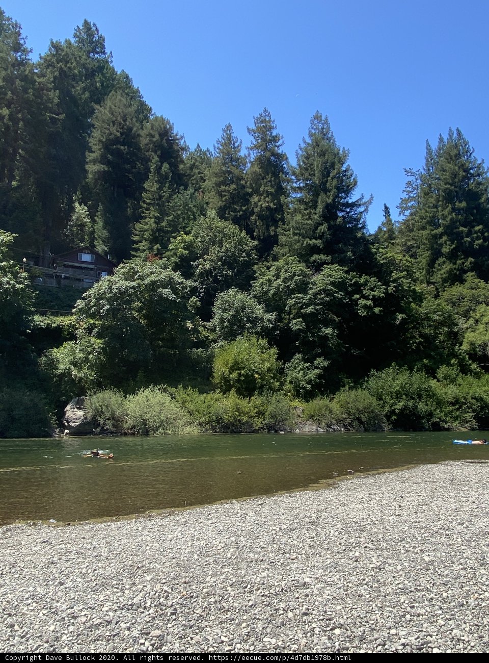 Serene River View with a Boat and Evergreen Trees