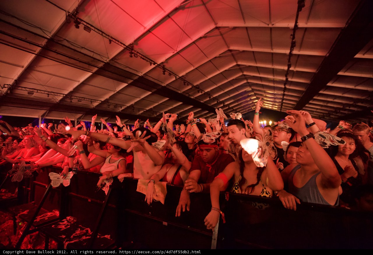 Partygoers Rocking Out at Coachella Concert