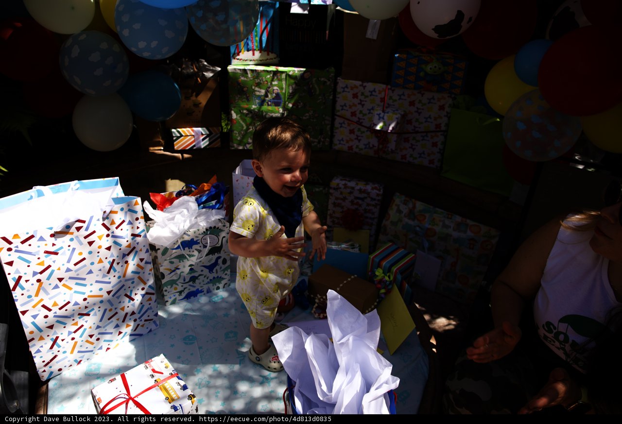 Wesley's First Birthday Bash