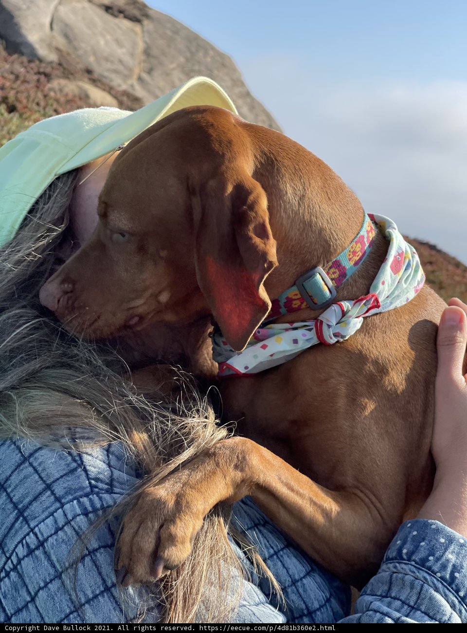 A Woman's Best Friend