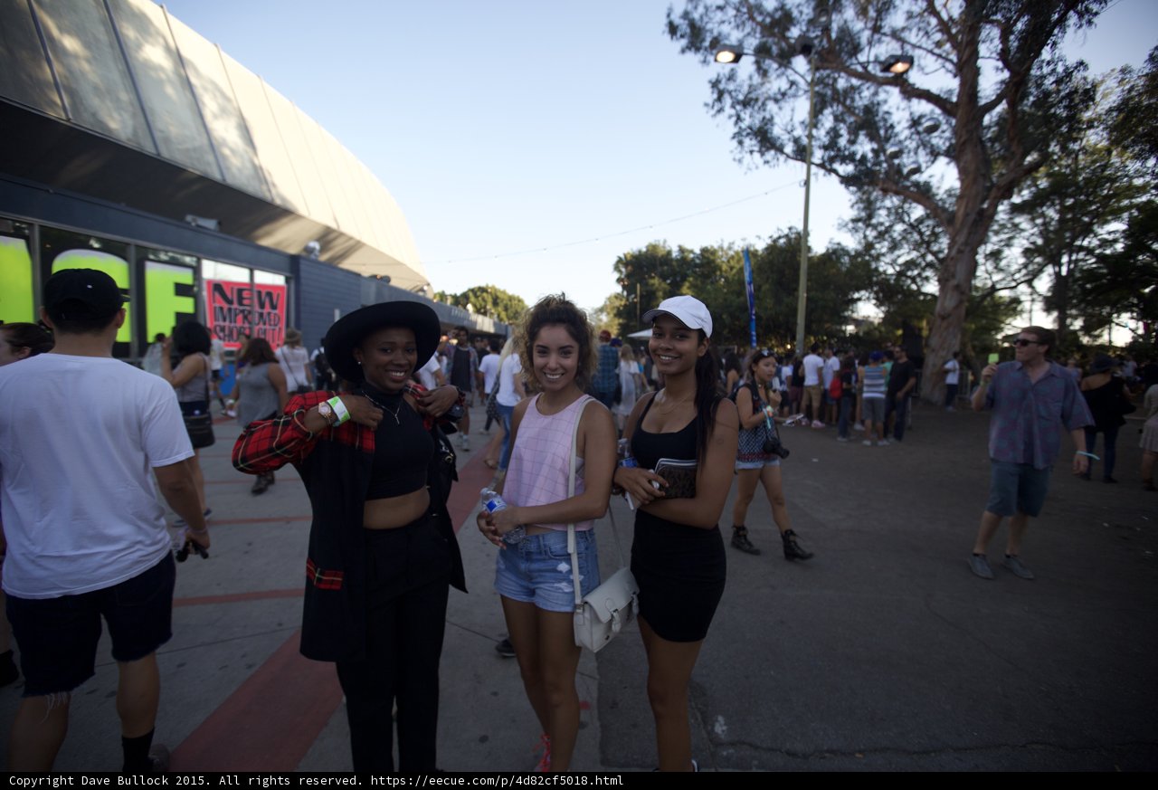 Three Friends Festival Portrait