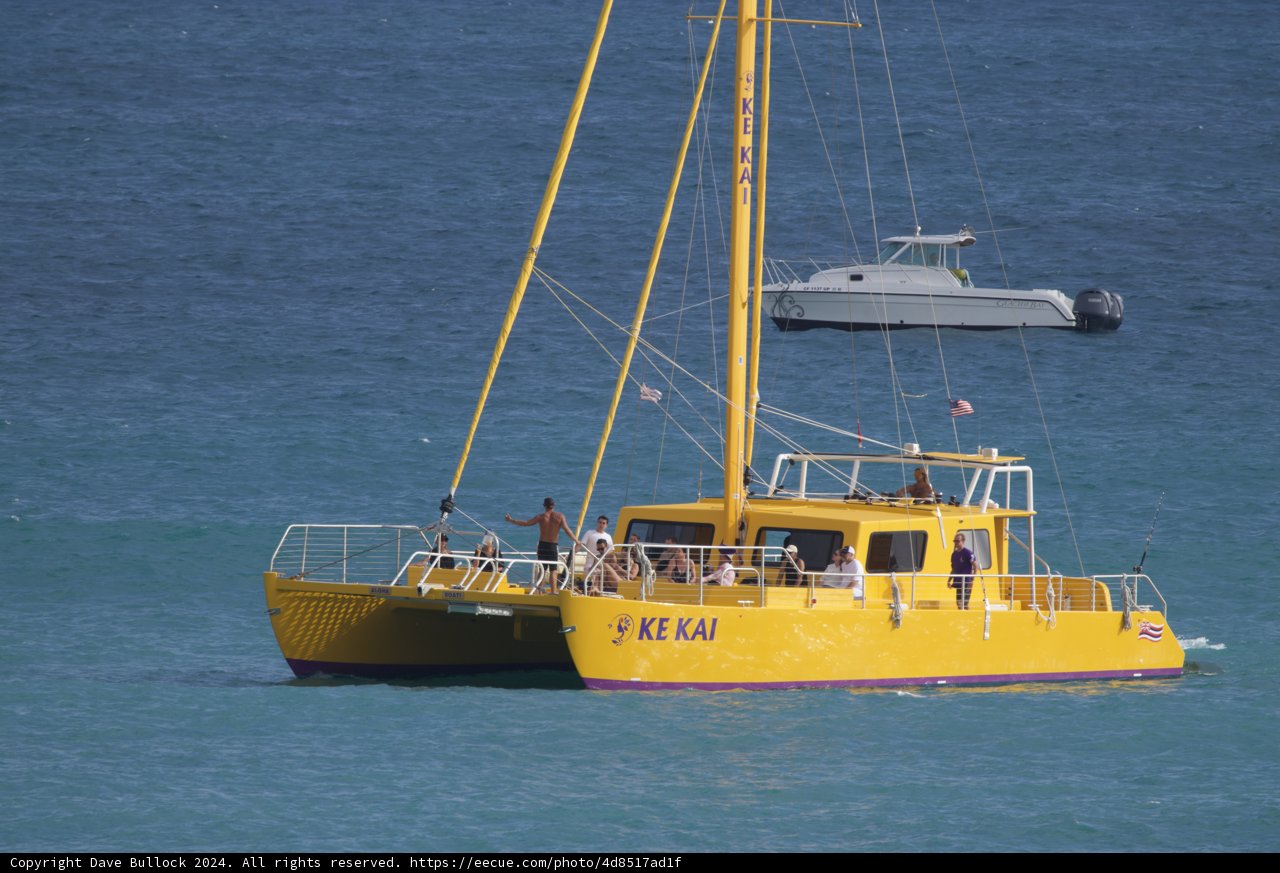 Sunshine and Sails in Hawaii