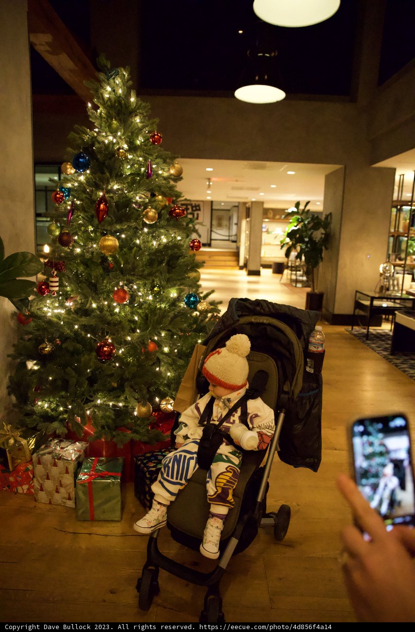 Capturing Baby's Christmas Moments in Japan Town, Skyela