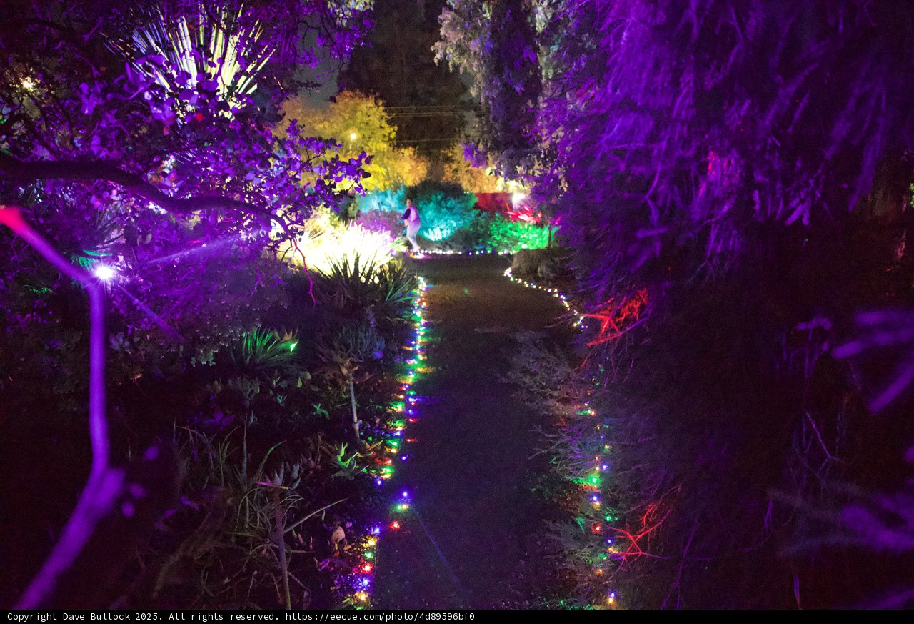 Enchanted Pathway Through the Garden of D'Lights