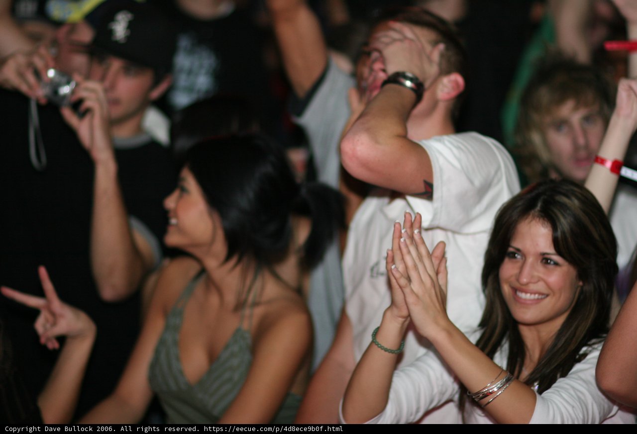 Nightclub Gathering