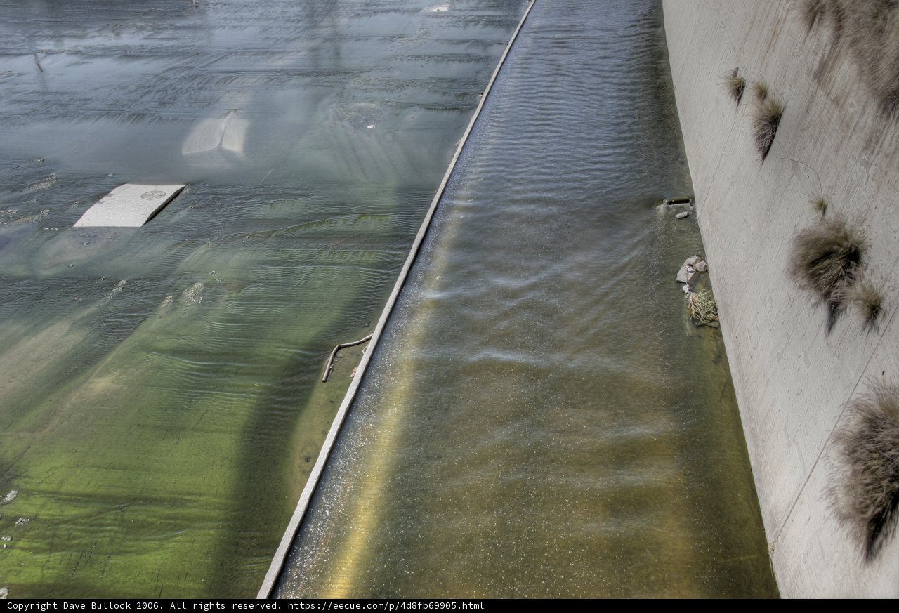 Algae-Infested Waterway