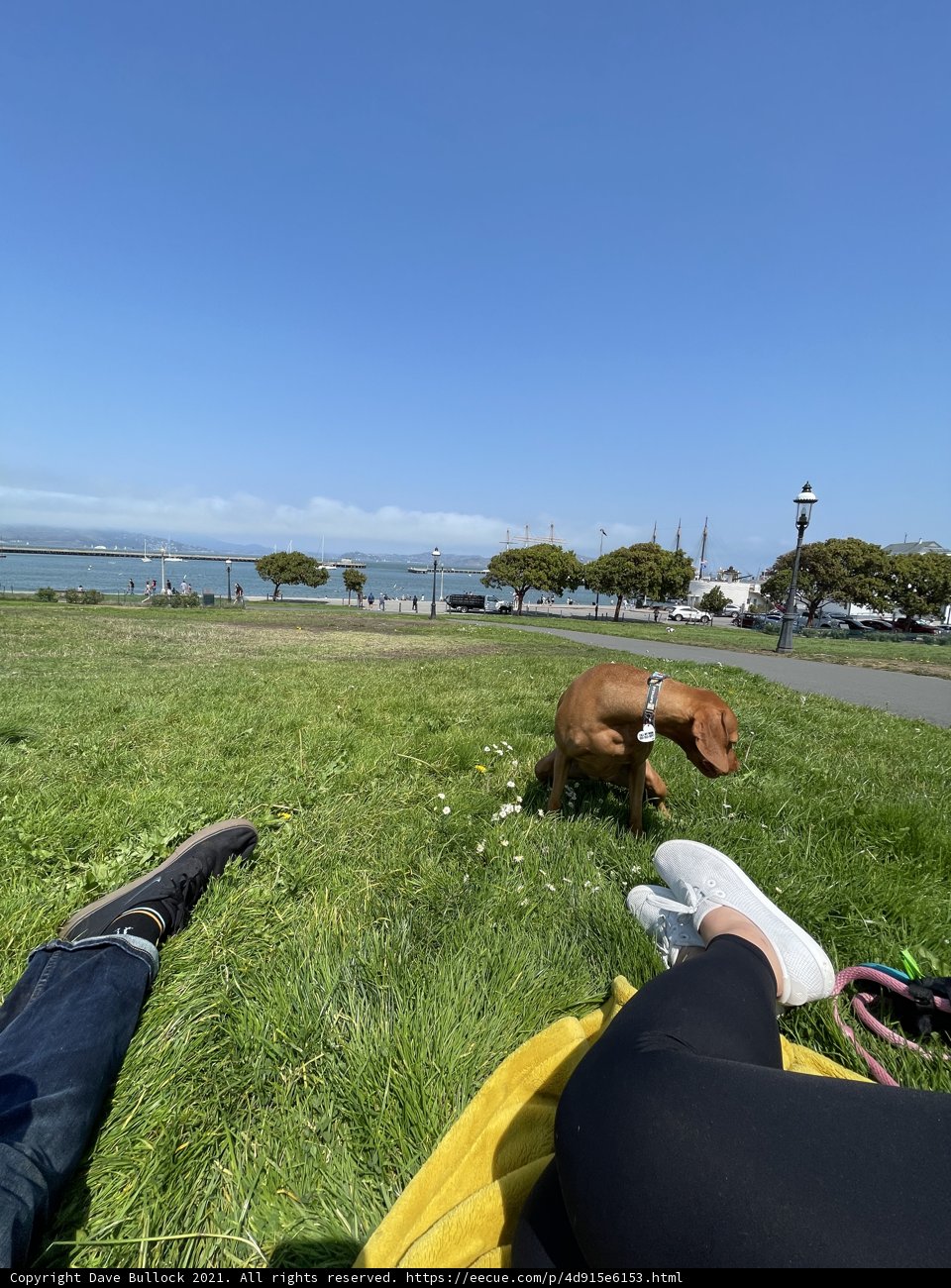 A Relaxing Day at San Francisco Maritime National Historical Park
