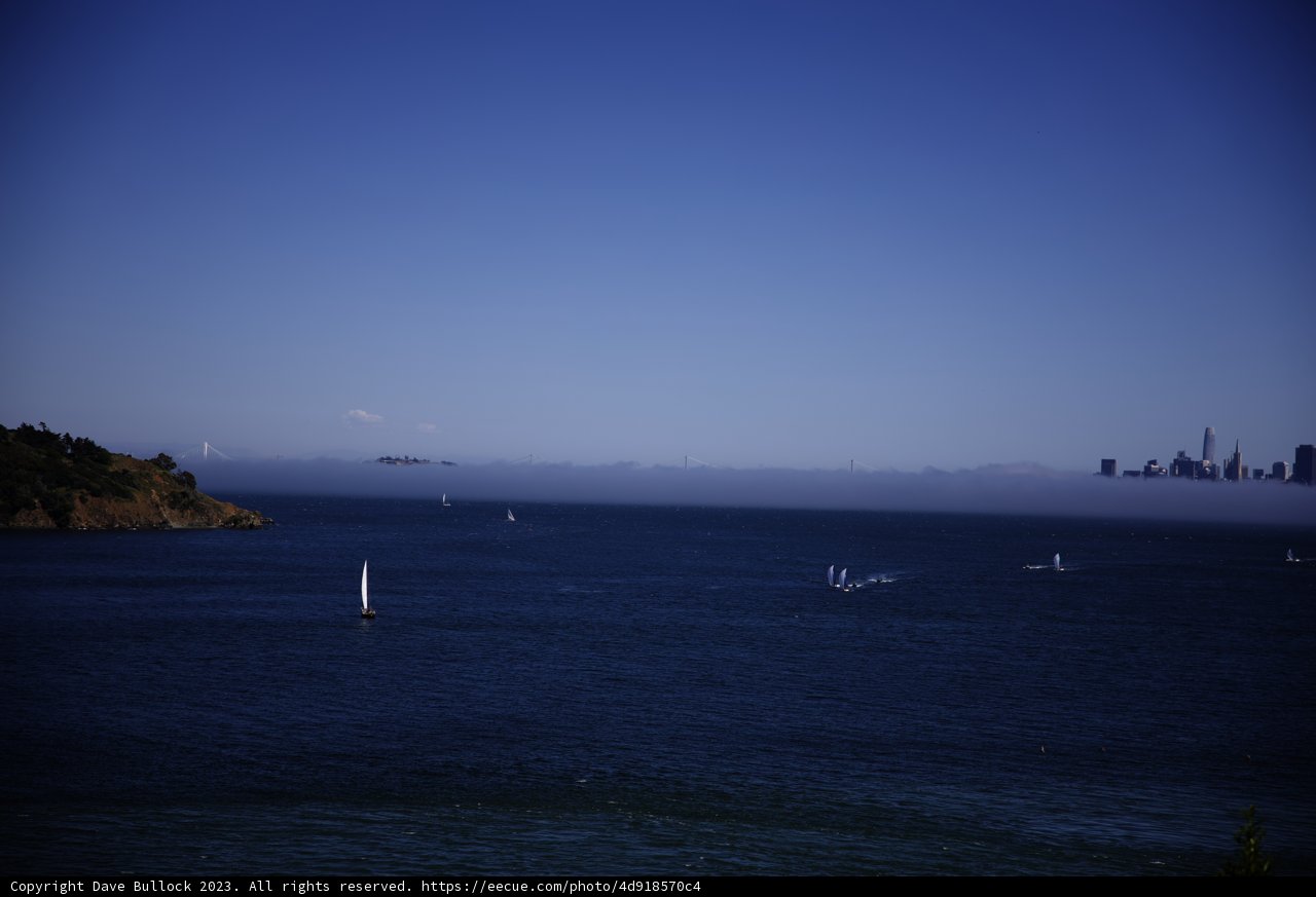 Sailboats Serenade the Sea