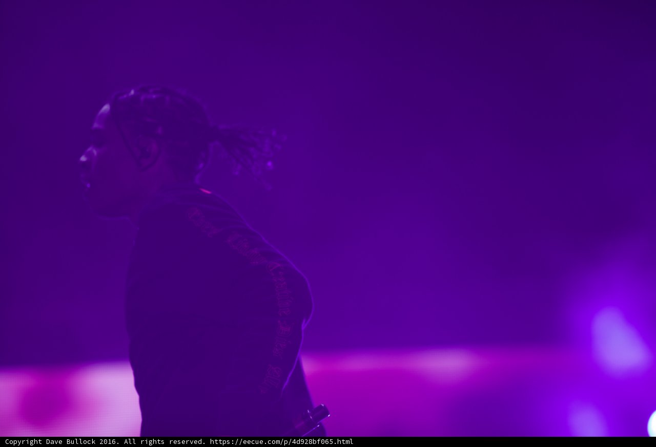 The Man in the Purple Light