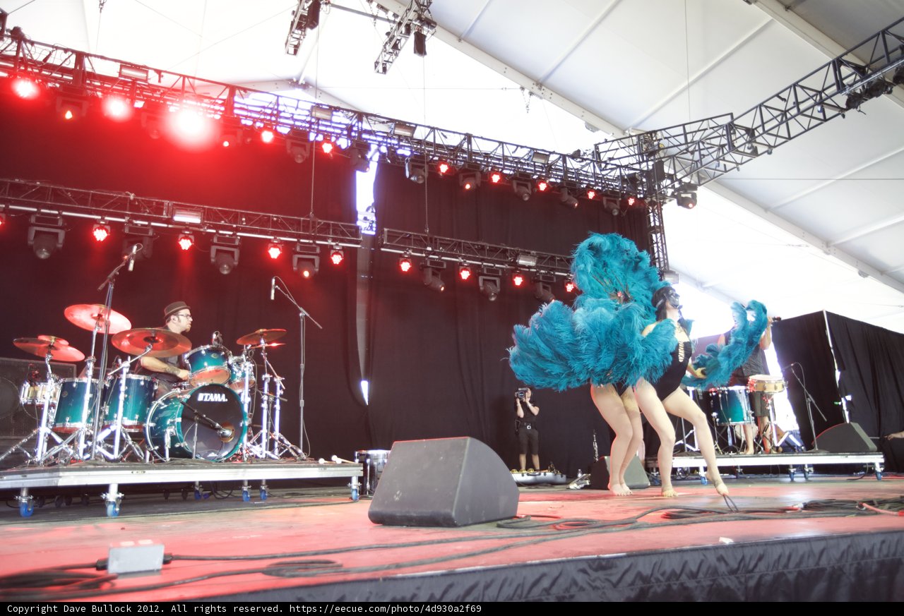 Blue Feathered Performer