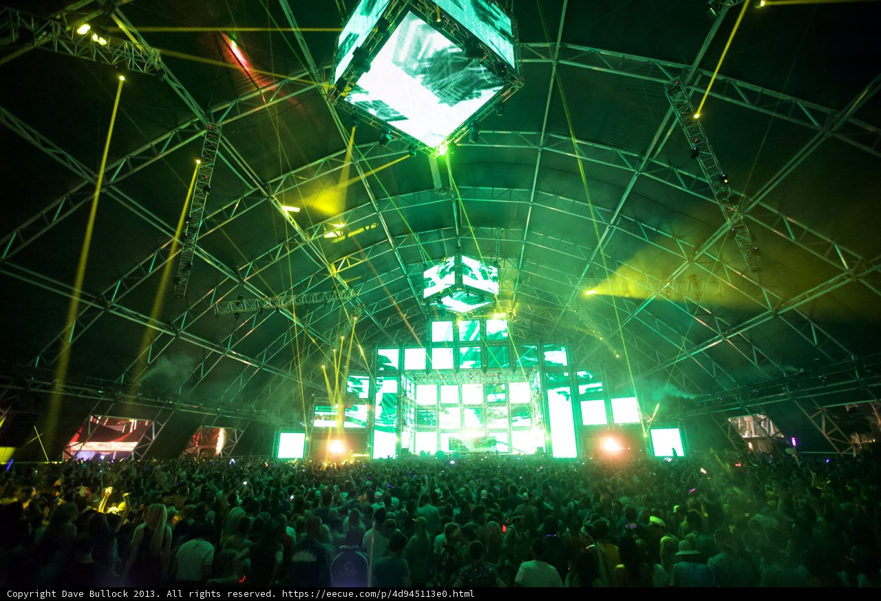 Coachella Nights
