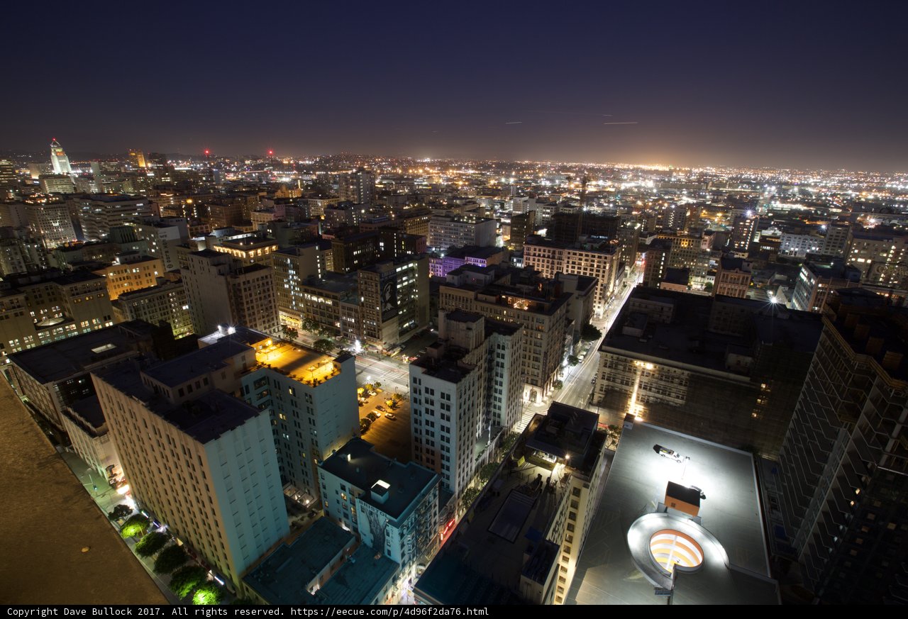 Urban Jungle Nightscape