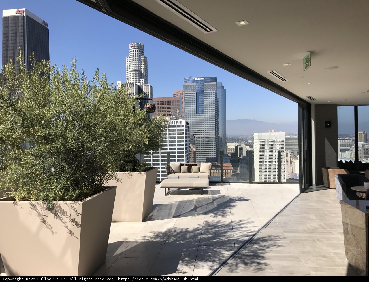 Urban Oasis
