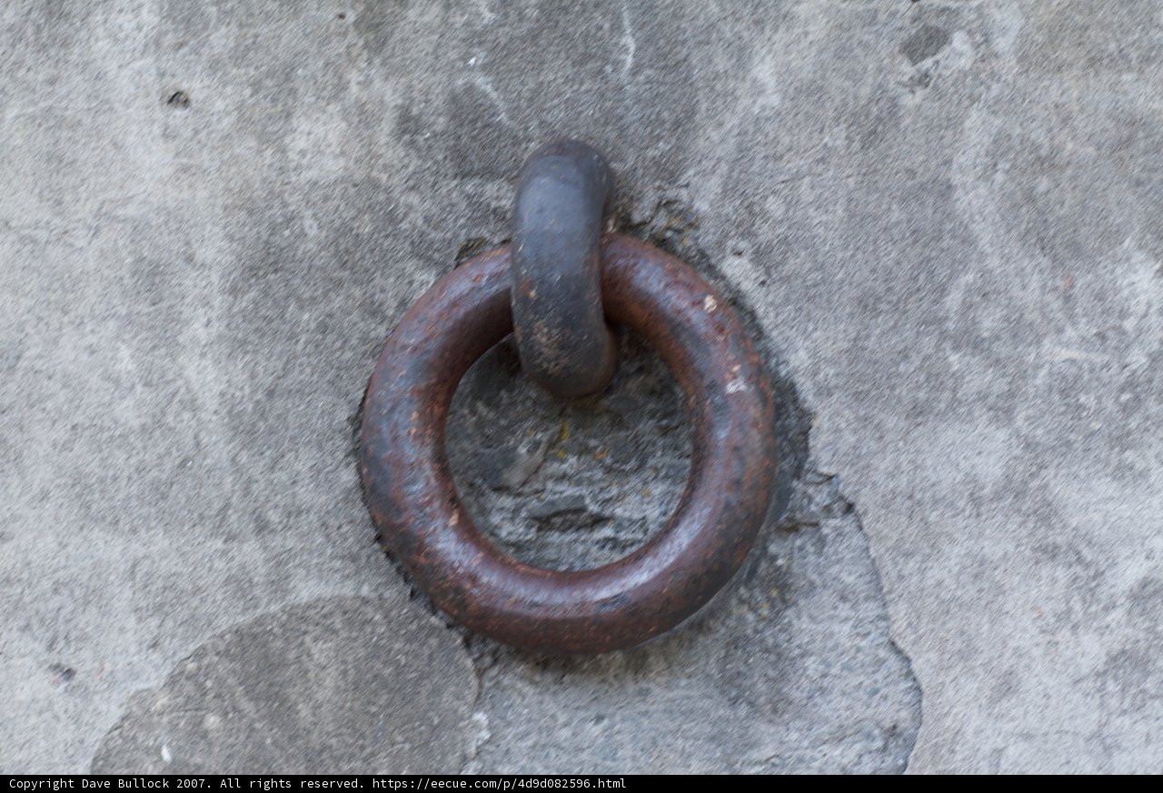 Serpent's Circle