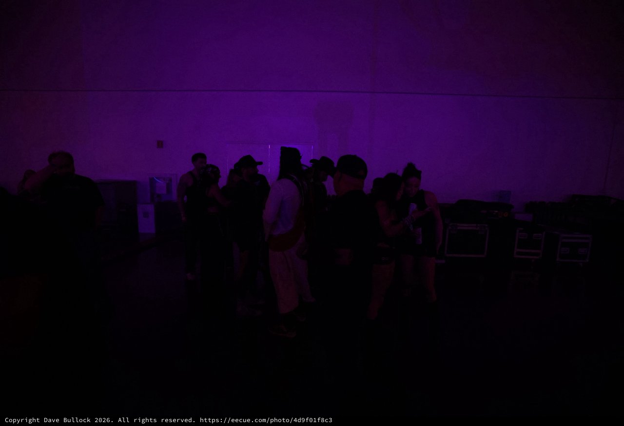 Silhouettes Gather Under Purple Haze at Wobbleland