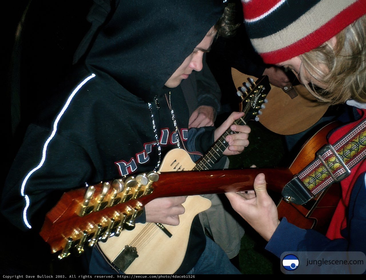 Nighttime Serenade