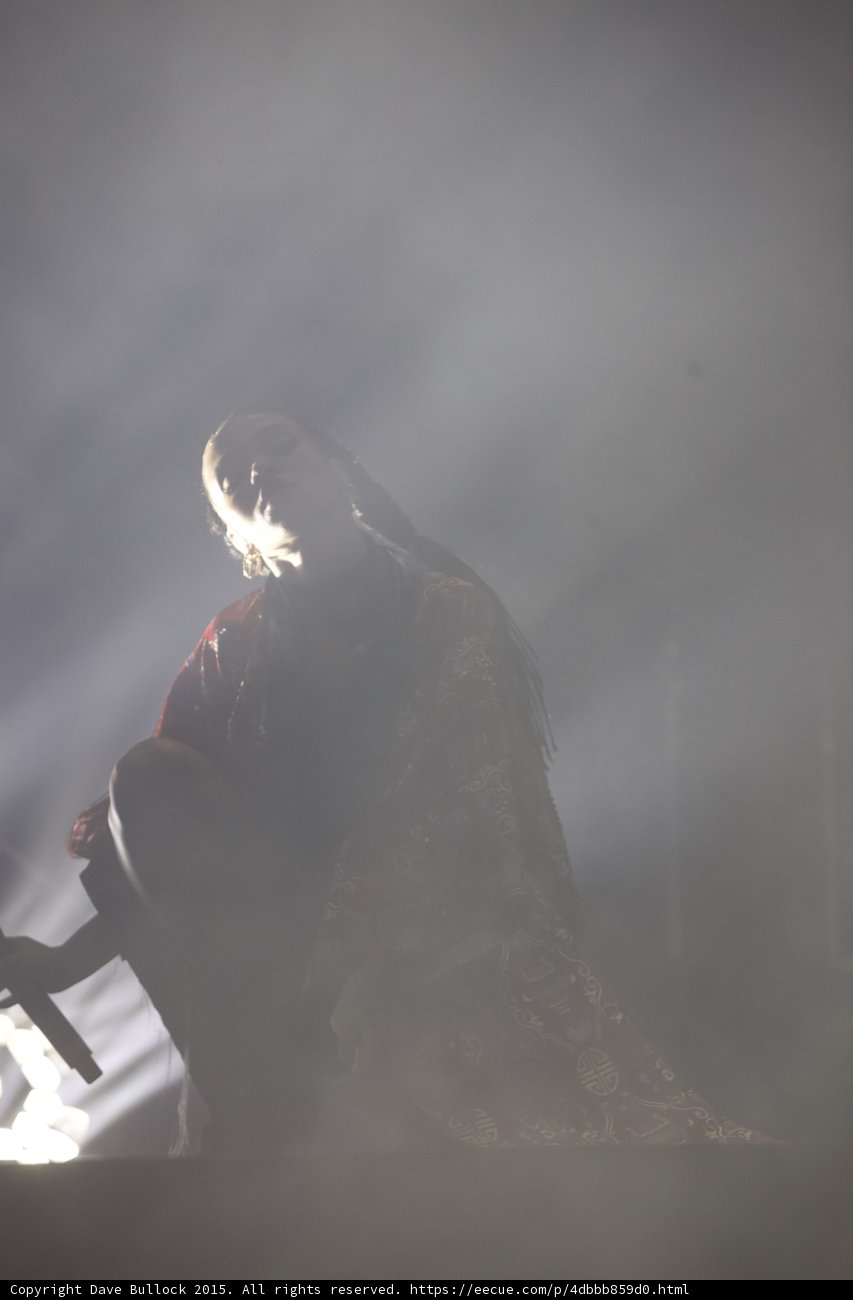 FKA twigs Dramatic Silhouette Portrait Heavy Haze Backlit Profile Braided Ponytail Red Brocade Kimono Ethereal