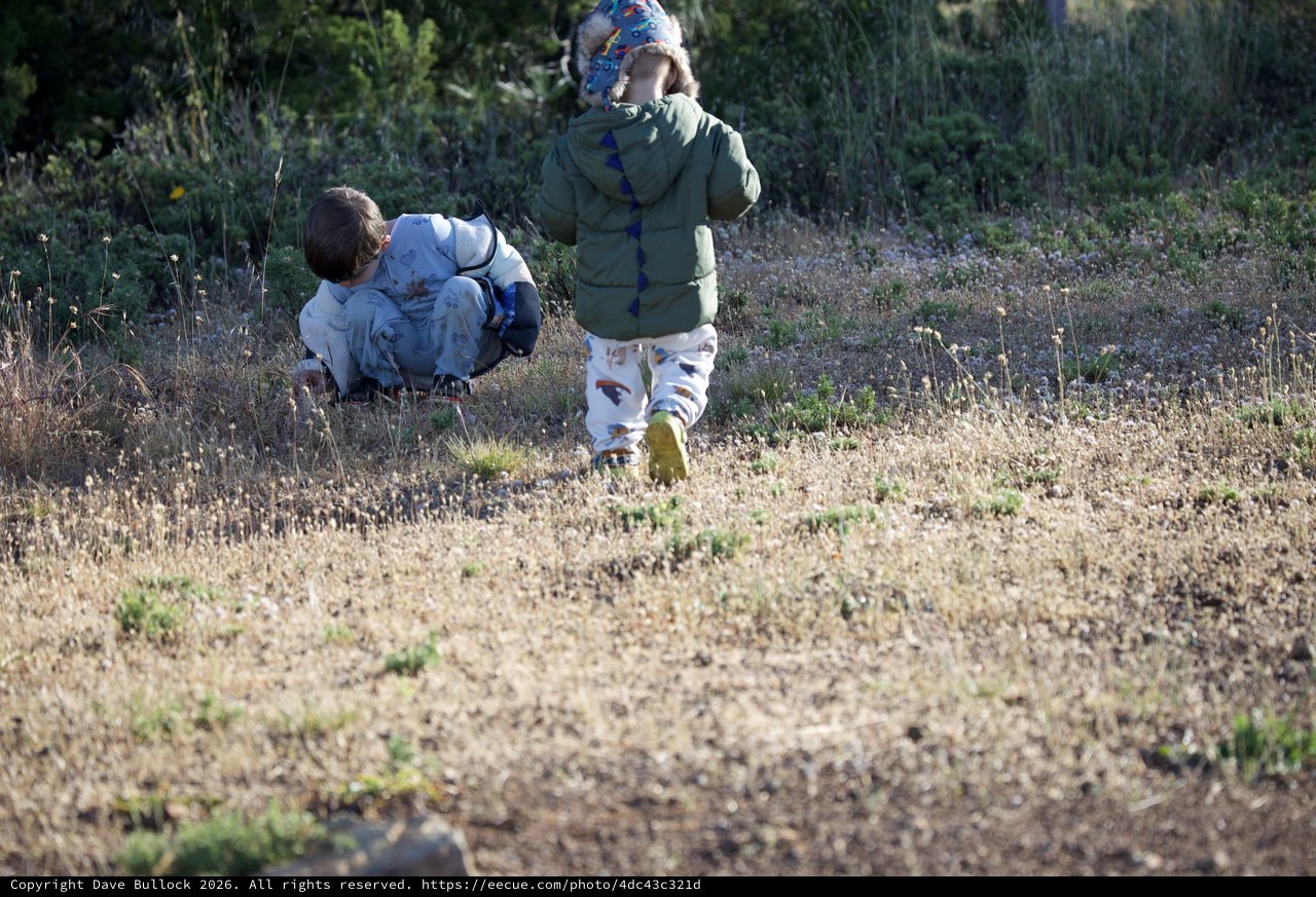 Young Explorers Discovering Nature on Mt. Diablo