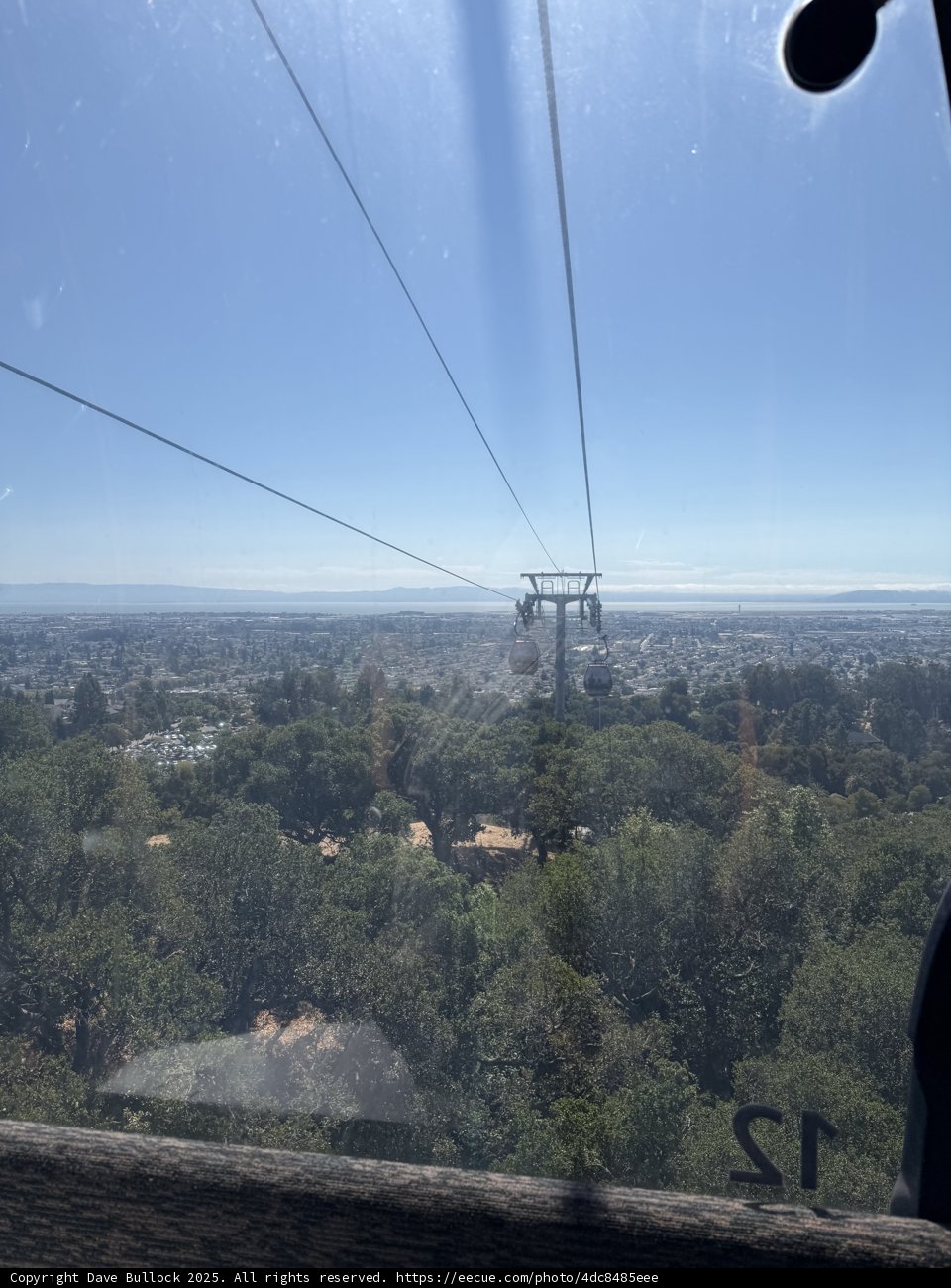 Skyward Journey Over Oakland's Green Wilderness