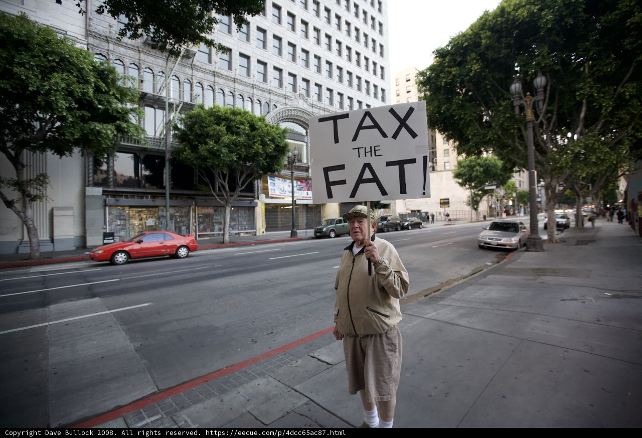 Tax the Fat Sign Holder
