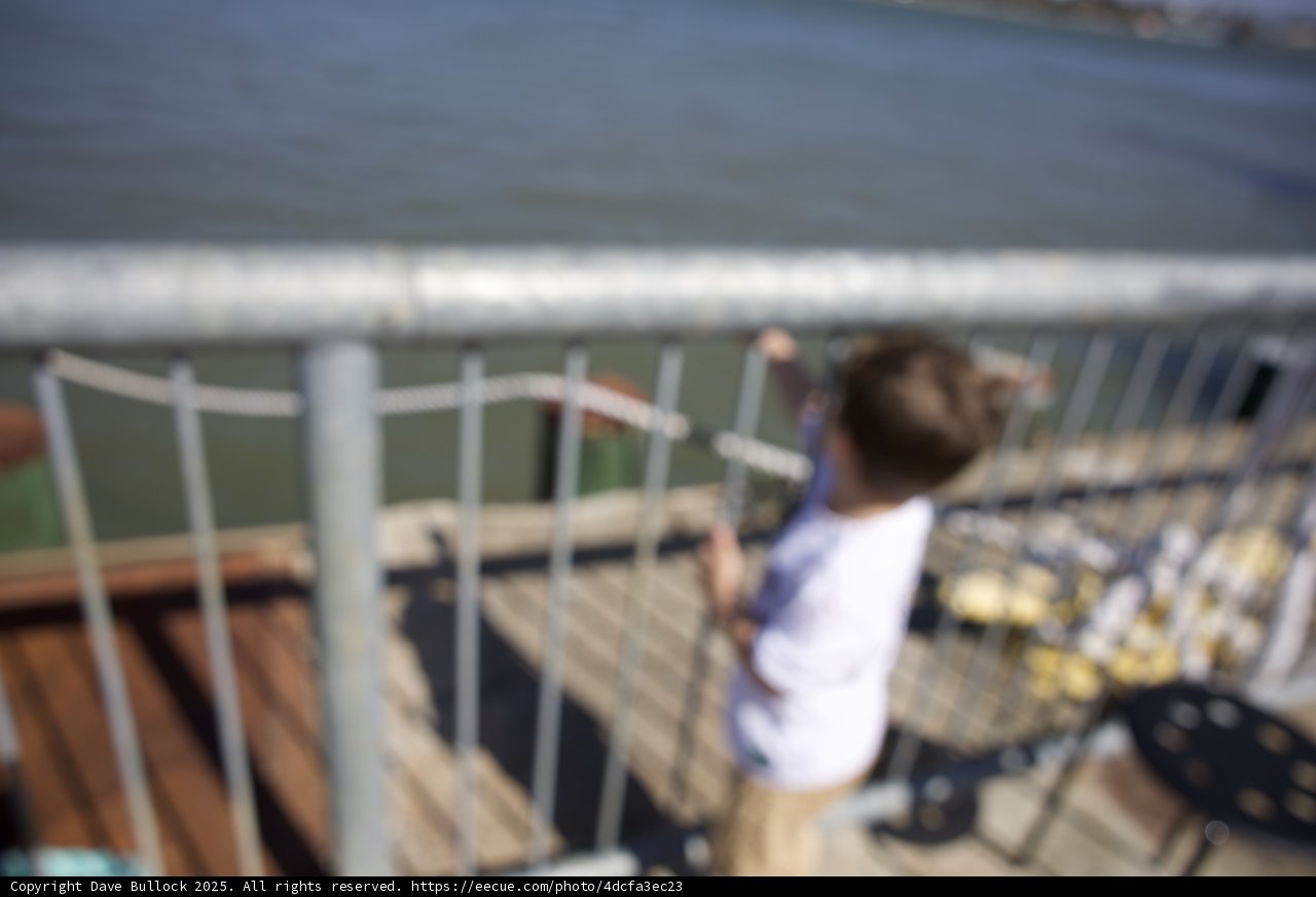 Waterfront Wonder