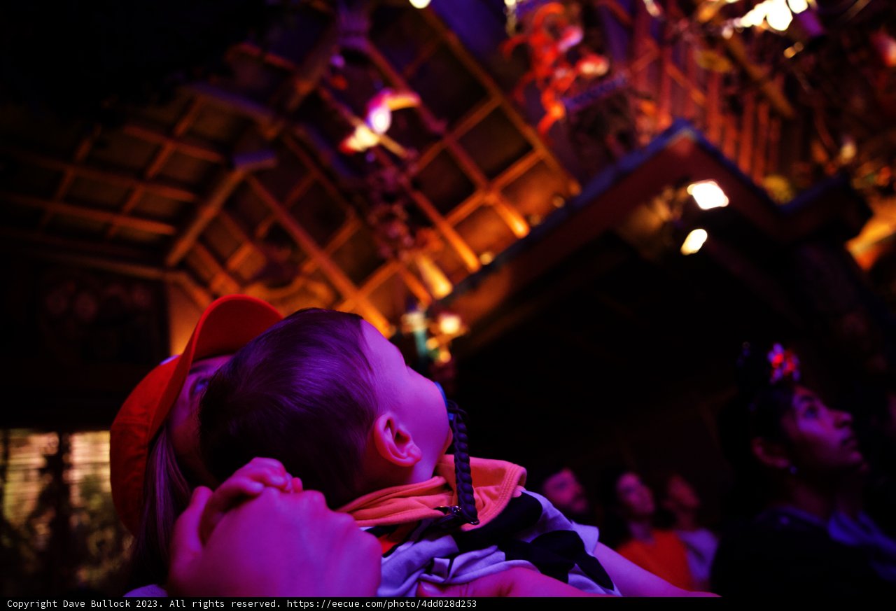Magical Night at Disneyland with Wes
