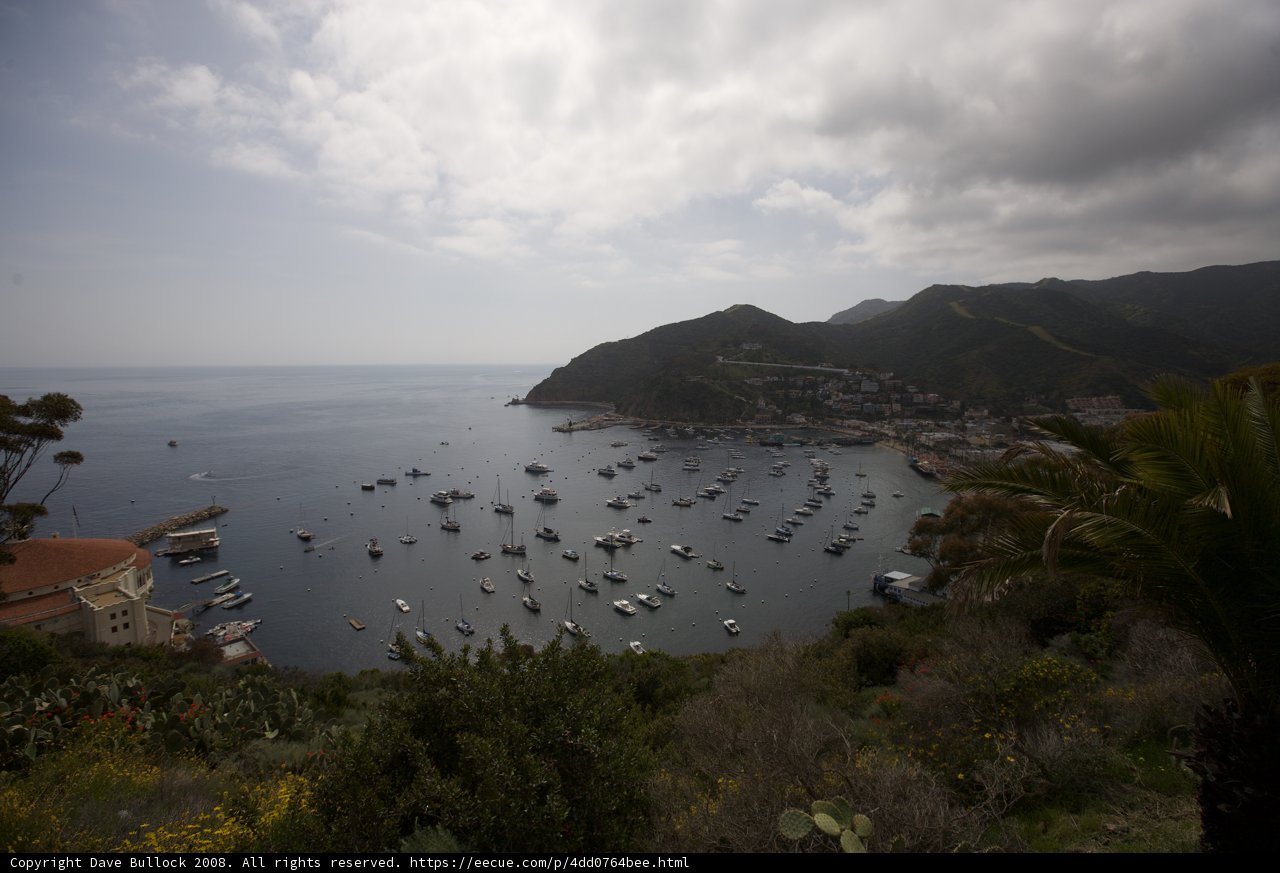 Captivating View of the Harbor and Mountain