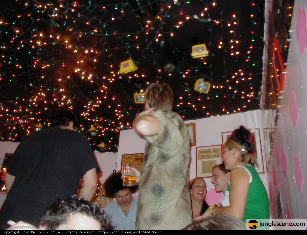 Festive Illuminations