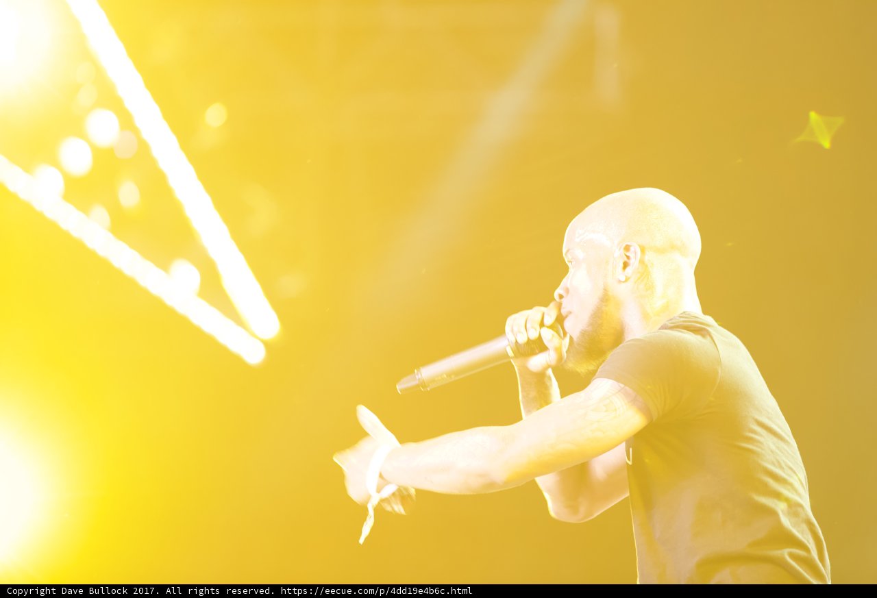 Rocking the Crowd